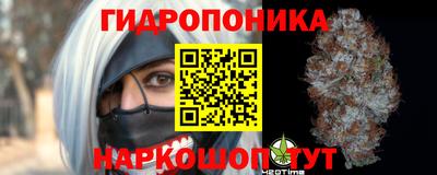 прущие грибы Ливны